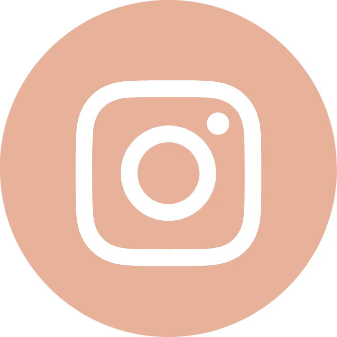 footer-icon-social-instagram